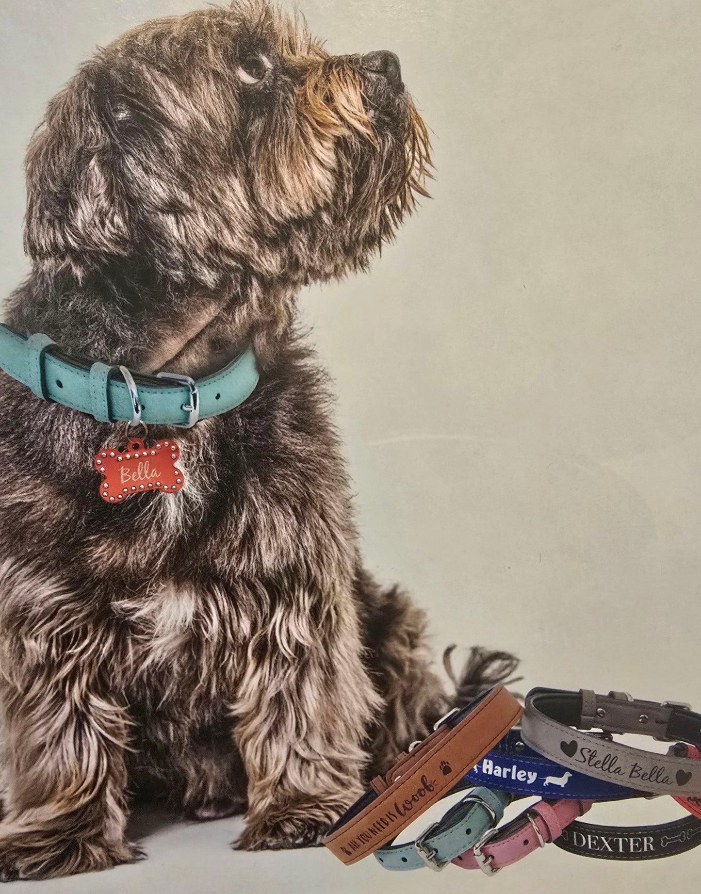 Dog Collars Personalized Laserable Leatherette in multiple colors